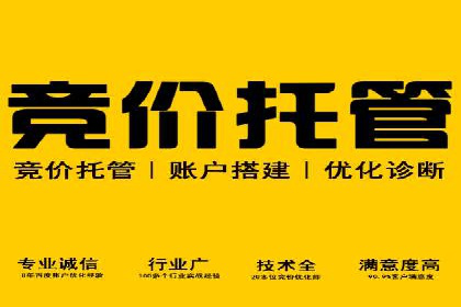 竞价广告端口开户的典型案例剖析